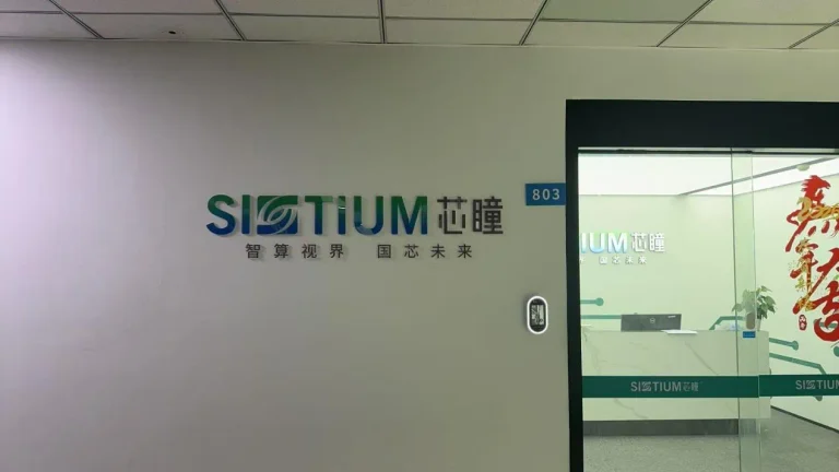 大胜达个股基本面盘点